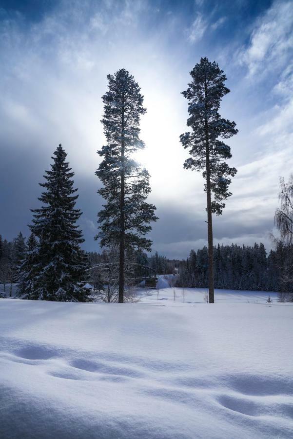 Asarna Skicenter Экстерьер фото
